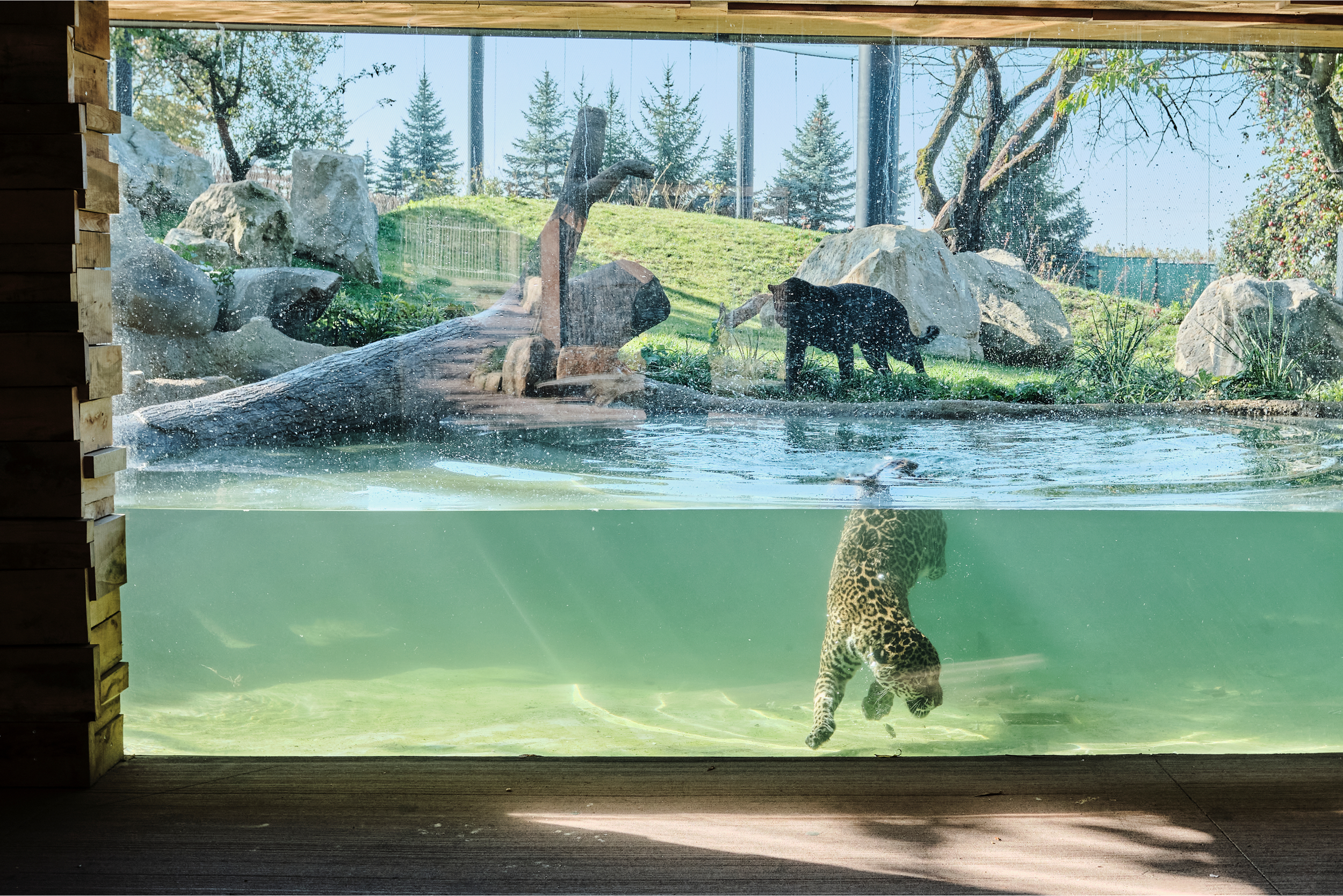 Prémiová bezpečnostní bezrámová okna s izolačním sklem