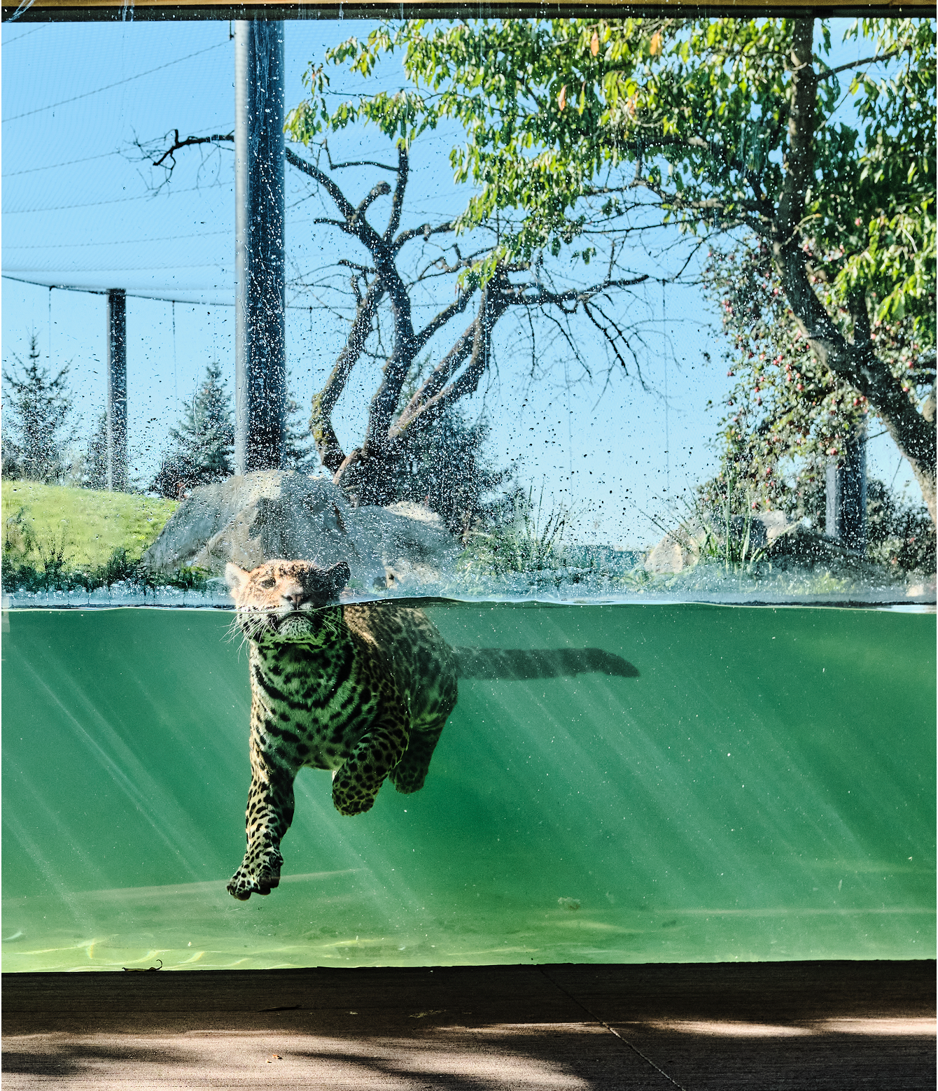 Prémiová bezpečnostní bezrámová okna s izolačním sklem